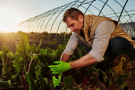 Poľnohospodárstvo a záhradníctvo
